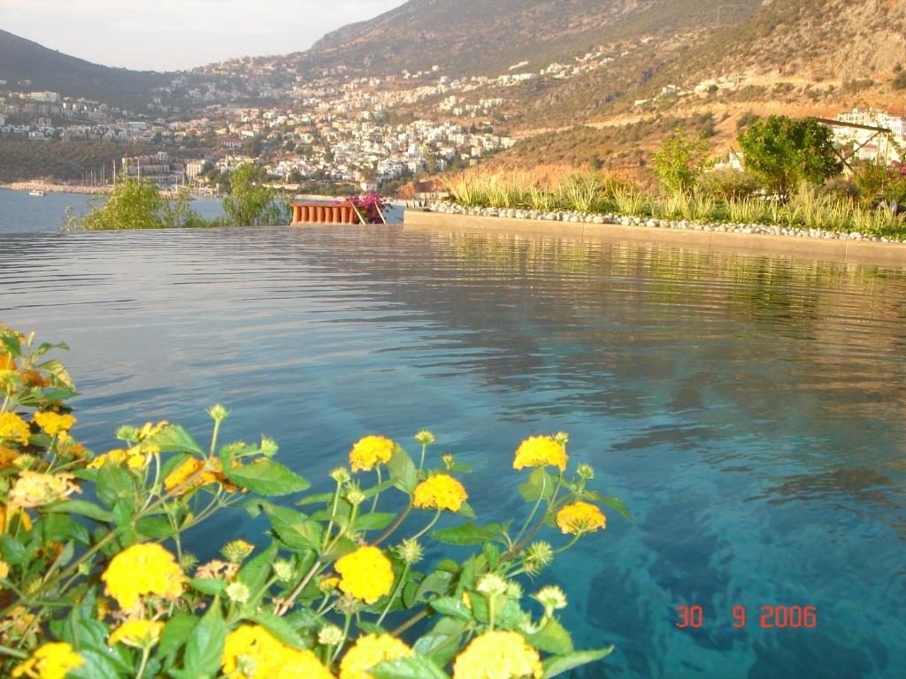 Club Patara Villas Καλκάν Δωμάτιο φωτογραφία